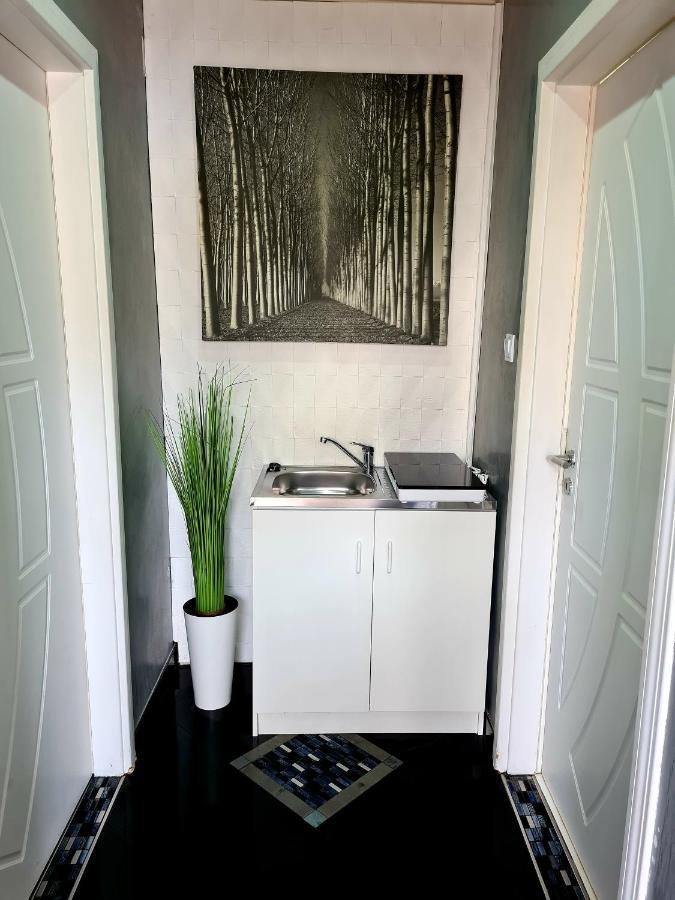 Airport Luxury Apartman 42 Vecsés Eksteriør billede
